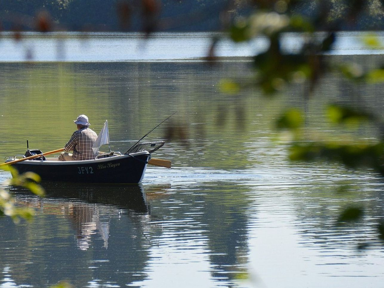 Forest Lake Photography Tours
